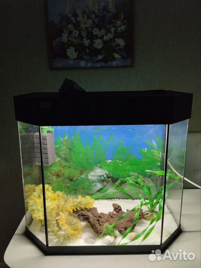 Аквариум на 70 литров