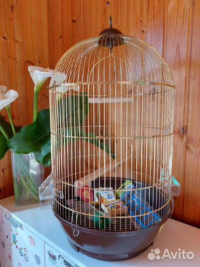 Большая клетка для птиц