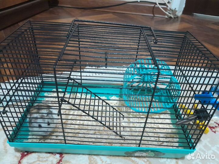 Клетка для джунгарского хомяка