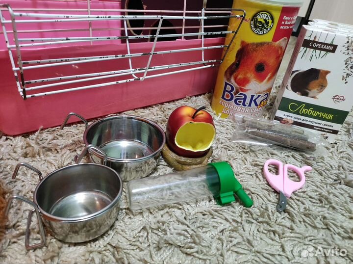 Клетка для грызунов