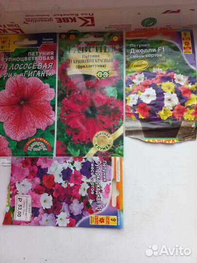 Рассада болгарский перец,петуния