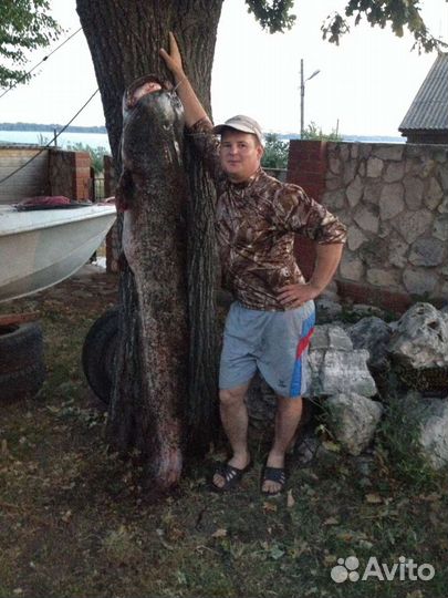 Рыбалка с гидом