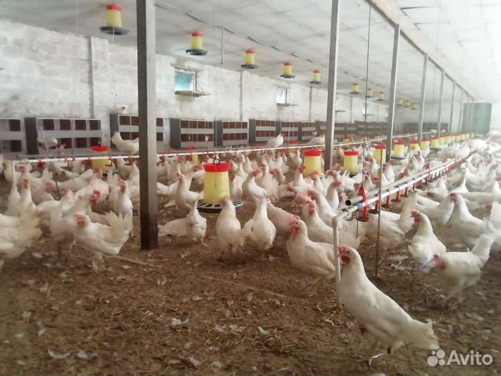 Продам готовый бизнес производство