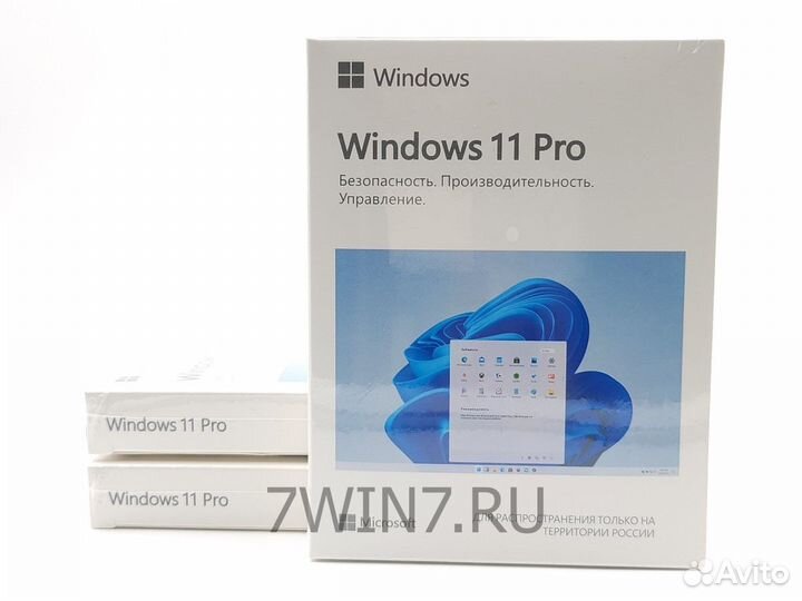 MS Windows 11 Professional BOX