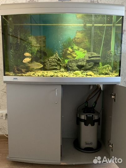 Аквариум