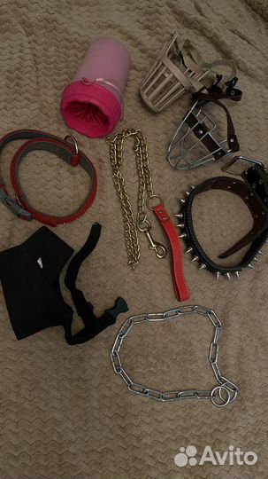 Амуниция для собак