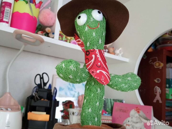 Буги - вуги кактус