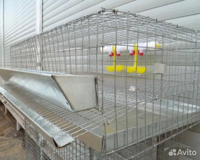 Клетки для перепелов
