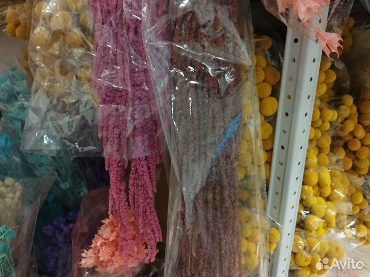 Амарант стабилизированный