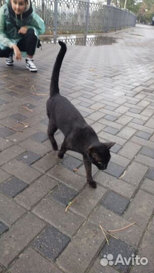 Ритуальные услуги