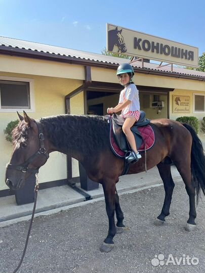 Конные прогулки