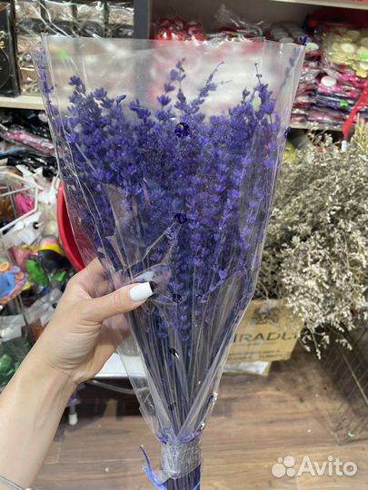 Лаванда сухоцвет