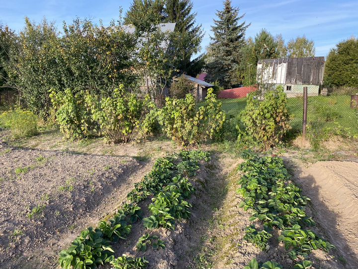 Участок 24 сот. (ИЖС)