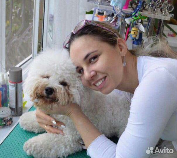 Cтрижка собачек