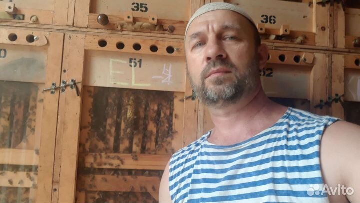 Пчелопакеты карника