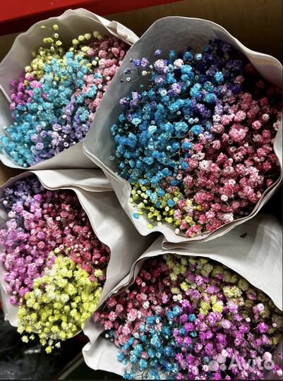 Гипсофила оптом розница букет