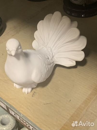 Голубь белый мраморный