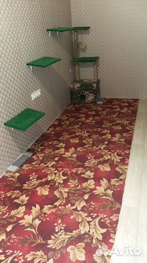 Зоогостиница 