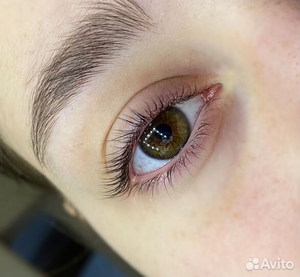 Мастер бровист