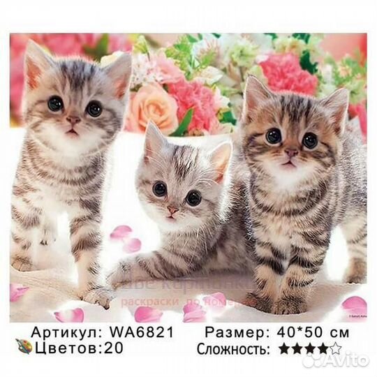 Картина по номерам 40x50 Полосатые котята среди цв