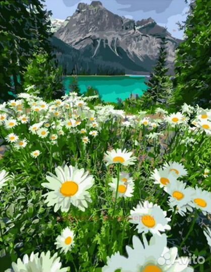 Картина по номерам 40x50 Ромашковая поляна с видом