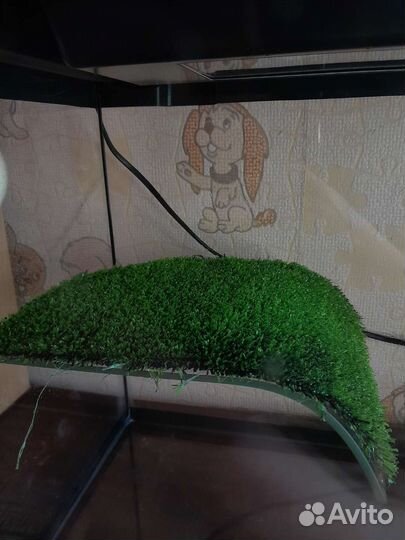 Аквариум для черепахи