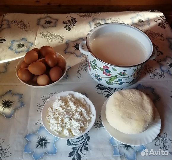 Молоко, масло, творог, сметана, мясо бройлера