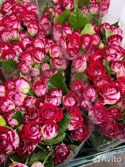 Доставка цветов / Цветы / розы