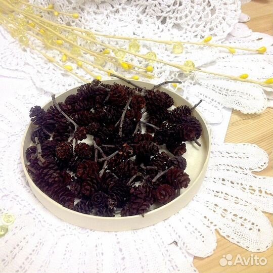 Ольховые шишки для творчества