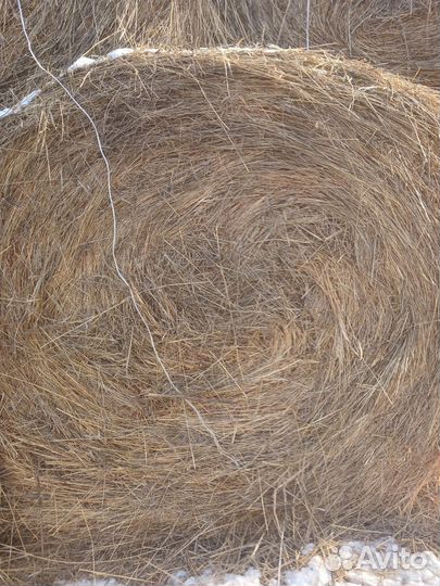 Сено в тюках