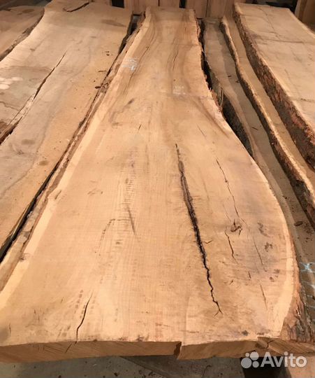 Слэб Дуба. Новосибирск