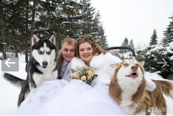 Фото и Видеосъемка в Барнауле