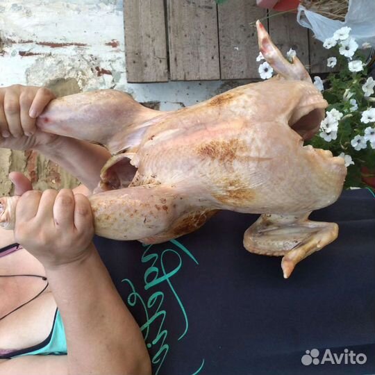 Мясо индюка,гуся