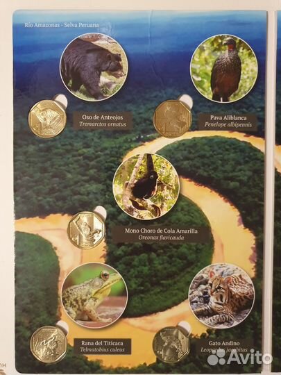 Набор монет Красная книга Перу