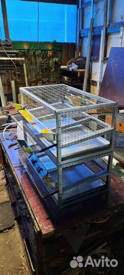 Клетки для перепелов