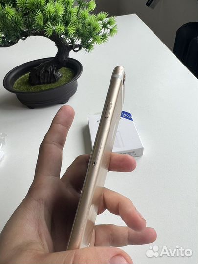 iPhone 6 64
