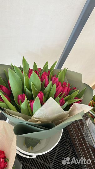 Тюльпаны весь март