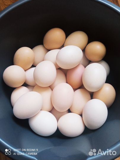 Огурцы свежие домашние, яйца куриные домашние