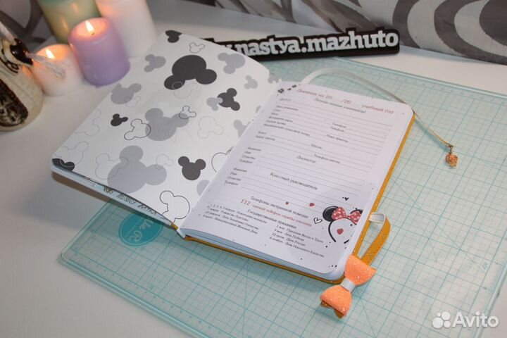 Школьный дневник 