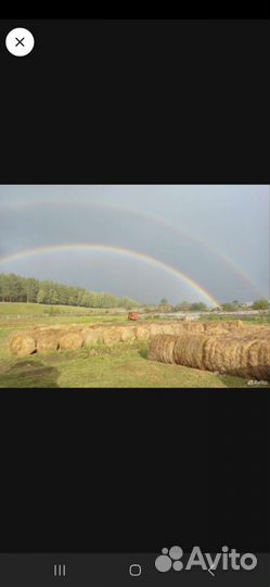 Продам сено в рулонах