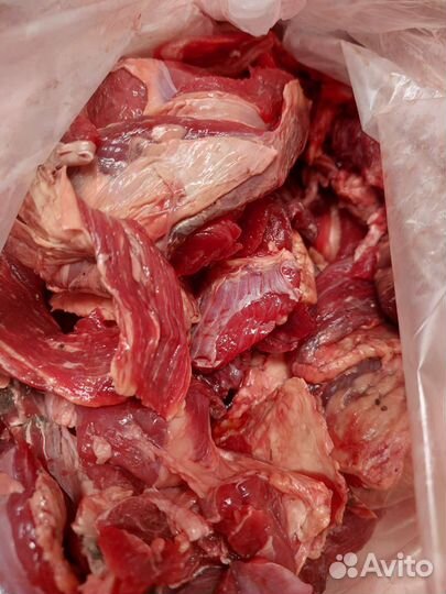 Мясо для собак