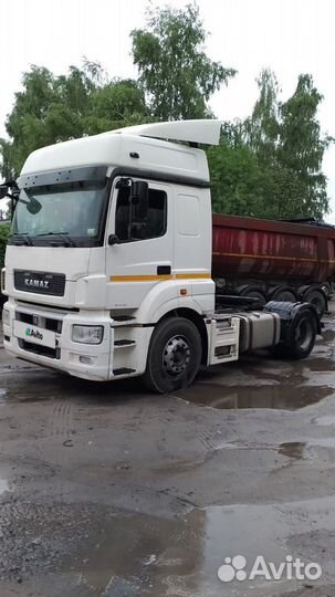 КамАЗ 5490 NEO, 2017