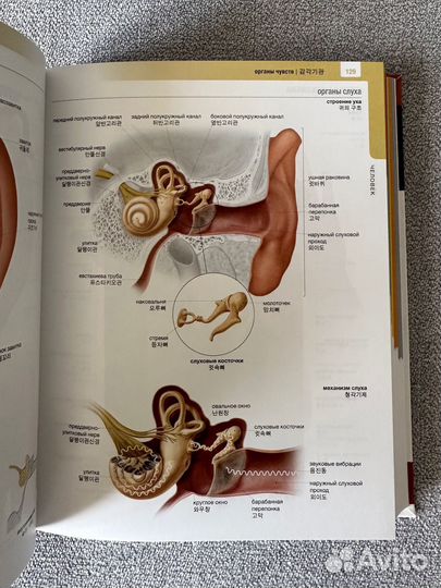 Словарь корейского языка