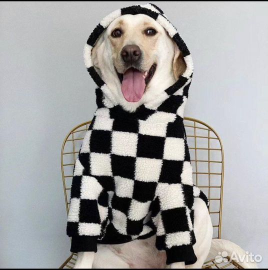 Зимняя одежда для собак