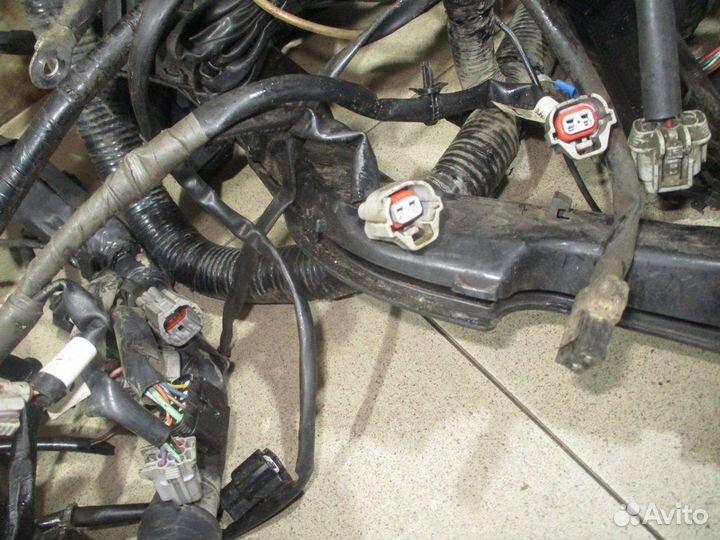 Проводка (коса) Infiniti FX (S50)