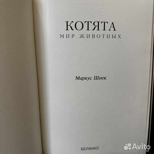 Шнек М. Котята