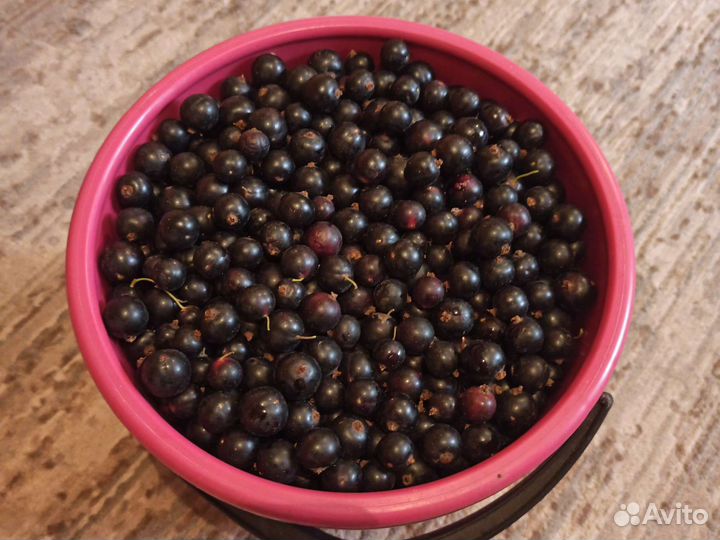 Чëрная Смородина