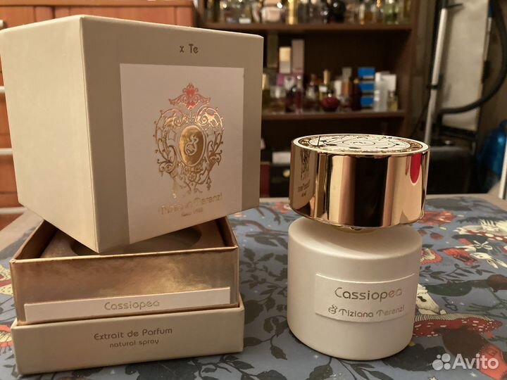 Cassiopea Tiziana Terenzi