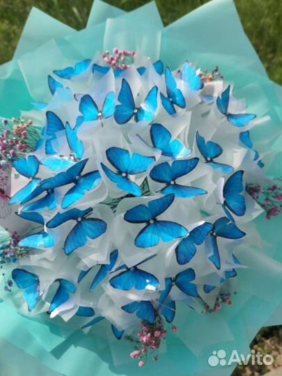 Букет из бабочек с гипсофилой