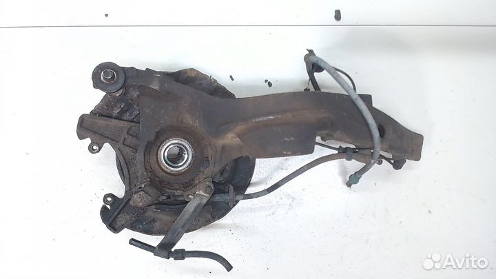 Ступица (кулак, цапфа) Ford Escape, 2006